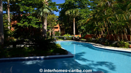 photos for CABARETE: APARTMENT LOUIS